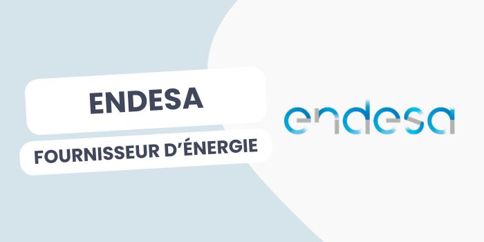 endesa