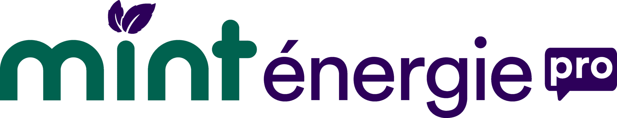 mint &eacute;nergie